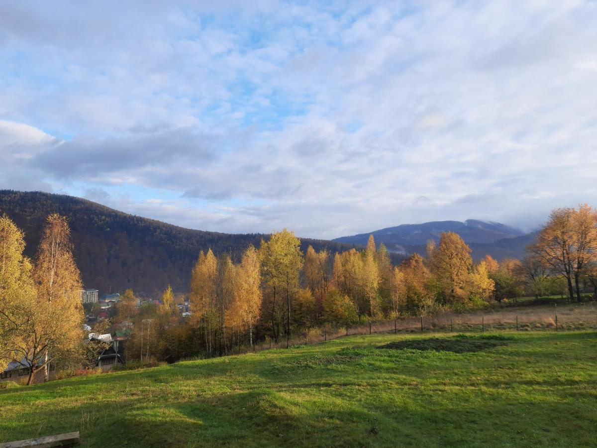 Perfect Holiday home Yaremche