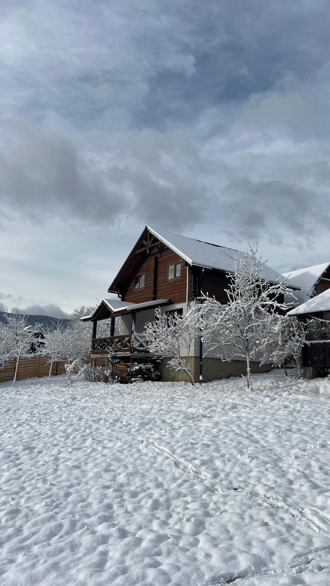 Holiday home Perfect Yaremche
