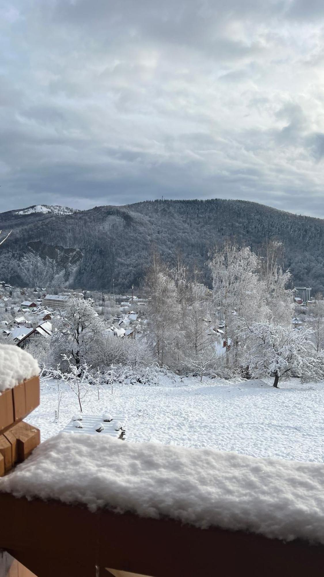 Perfect Holiday home Yaremche